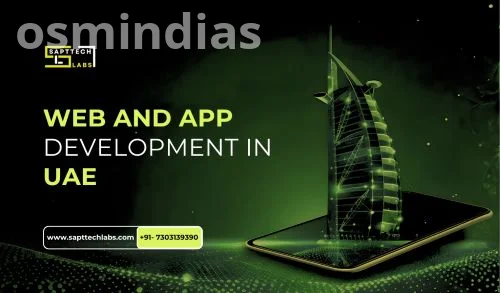 See 8X Better Website Results with the Best Web Development Company in Dubai - SaptTech Labs
