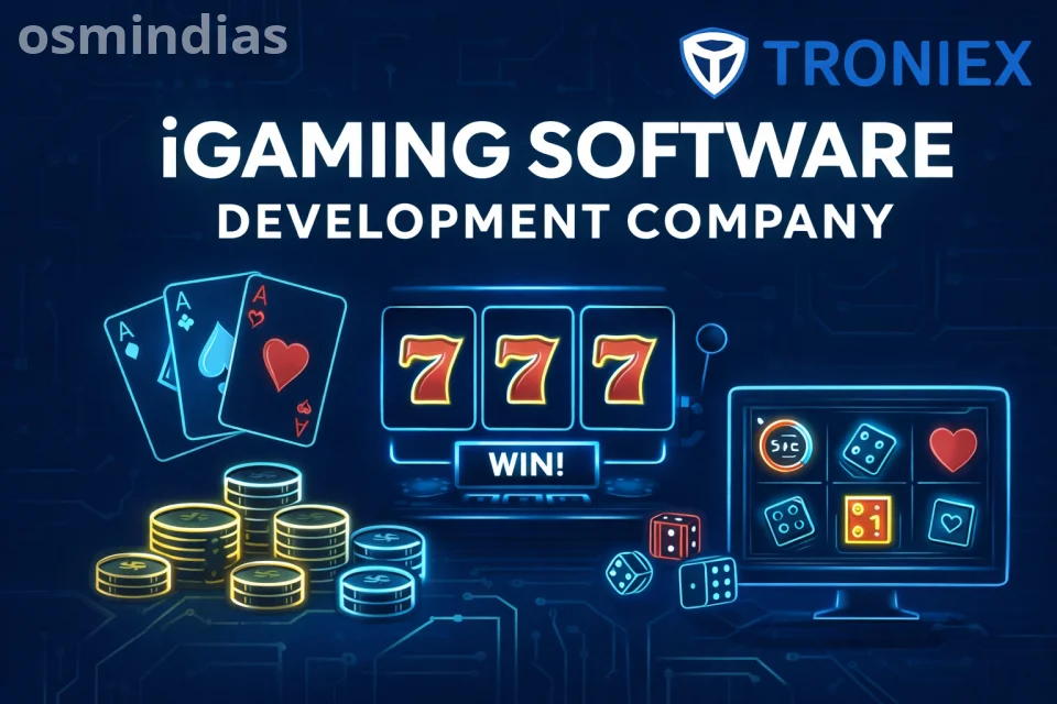 Trusted iGaming Software Development Company – End-to-End Solutions