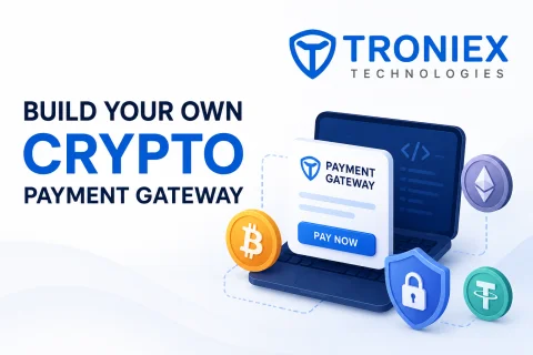 Secure Crypto Payment Gateway Development for Startups