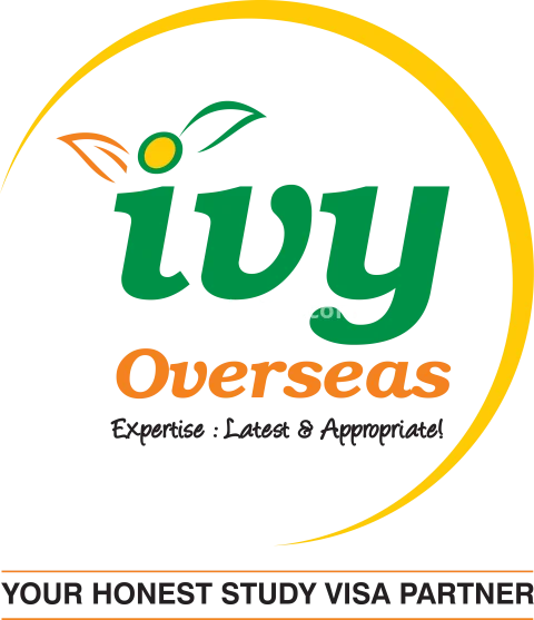 Best Overseas education consultants in Hyderabad