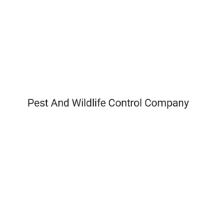 Kodiprofessional (kodiprofessional)