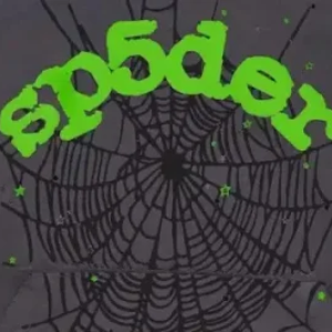 Spider hoodie