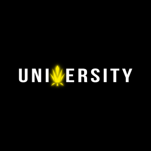 Trap University 1